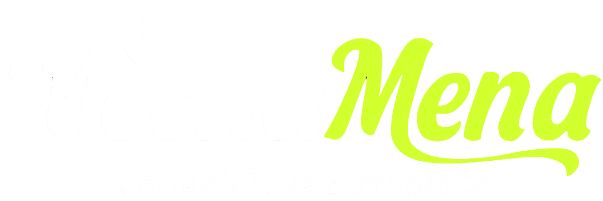 b12471e4-13f3-4e69-8fcb-4239e06bb3d6_20251017_231357_0000dd